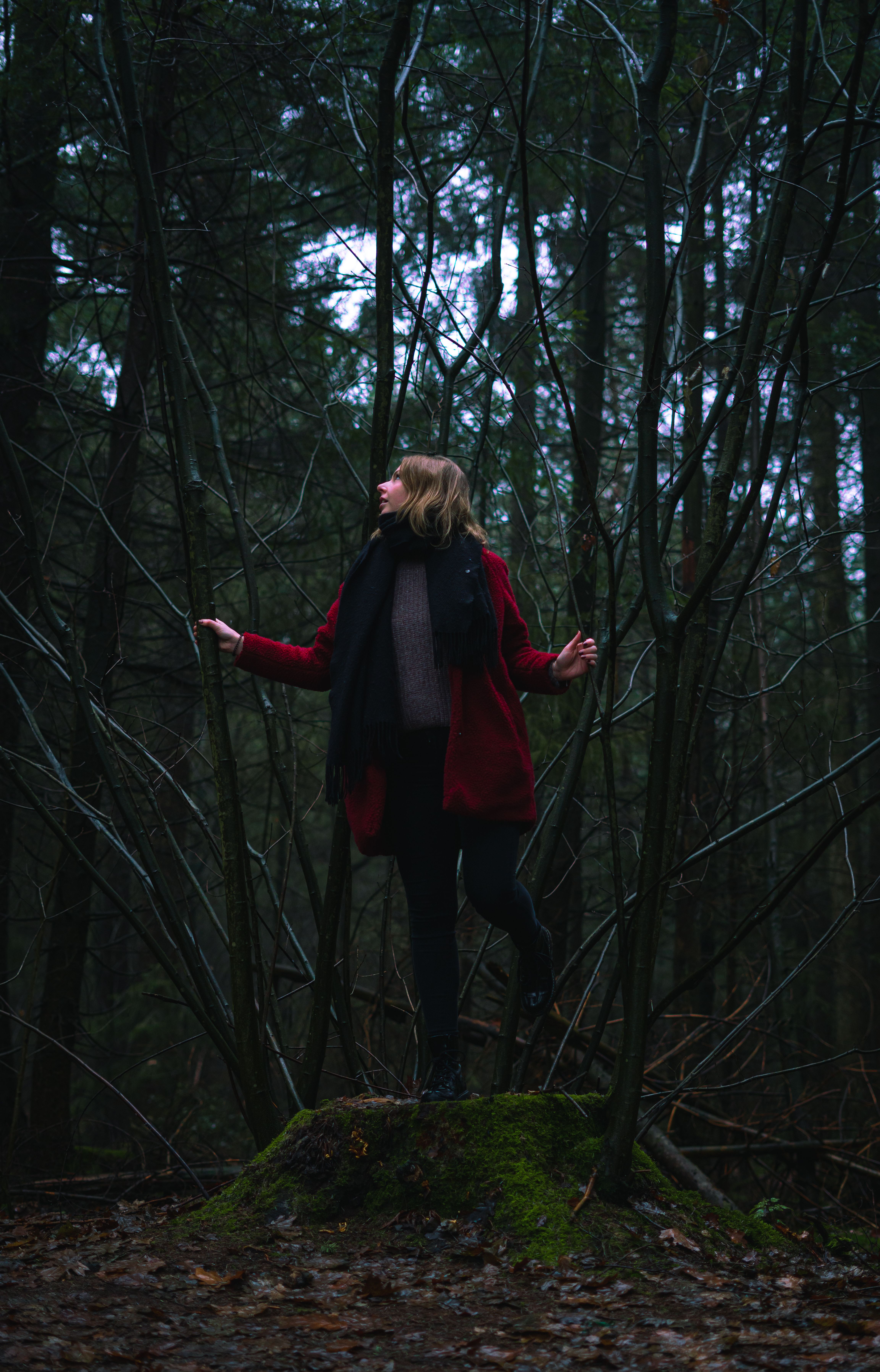 Woman in Gray Coat Standing Beside a Tree · Free Stock Photo