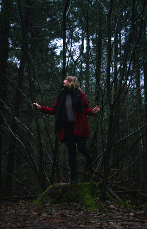 Free Woman in Red Coat Looking Afar While Holding to the Tree Branches  Stock Photo