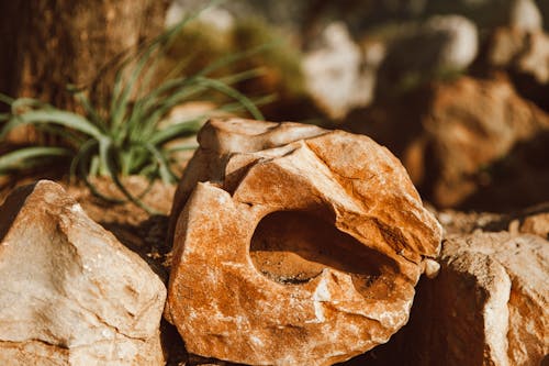 Close Up Photo Of Rocks