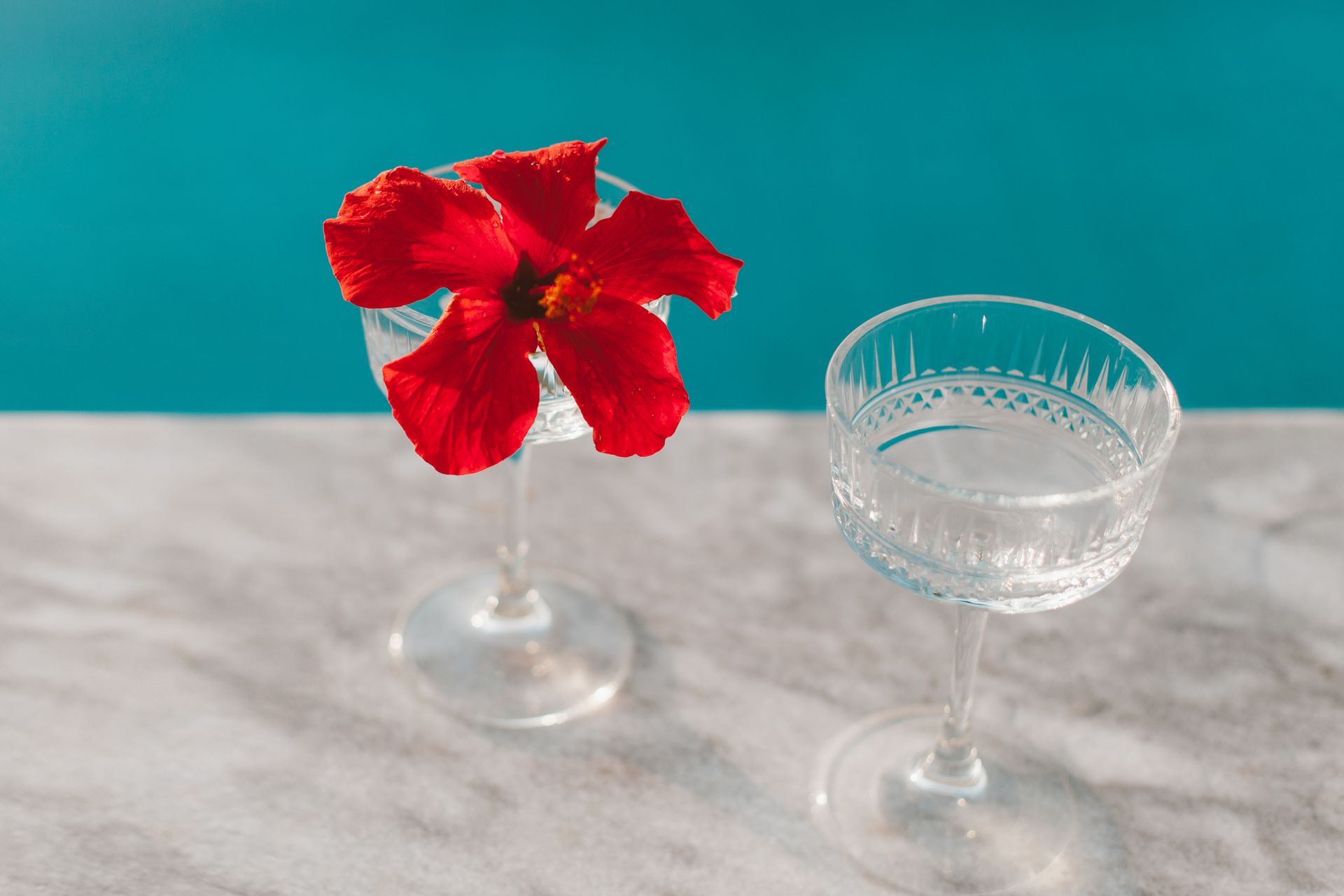 A vibrant red hibiscus flower beside elegant crystal glasses on a marble surface.