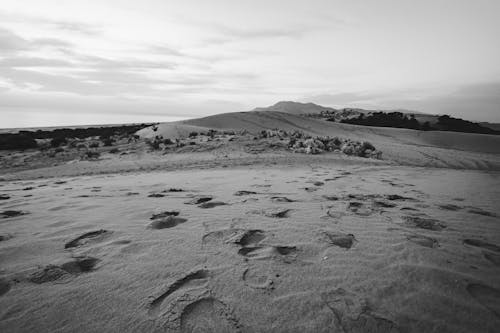 Grayscale Photo Of Sand With Footprints
