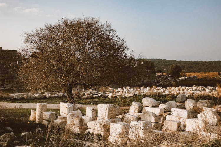 White Blocks On The Grass 