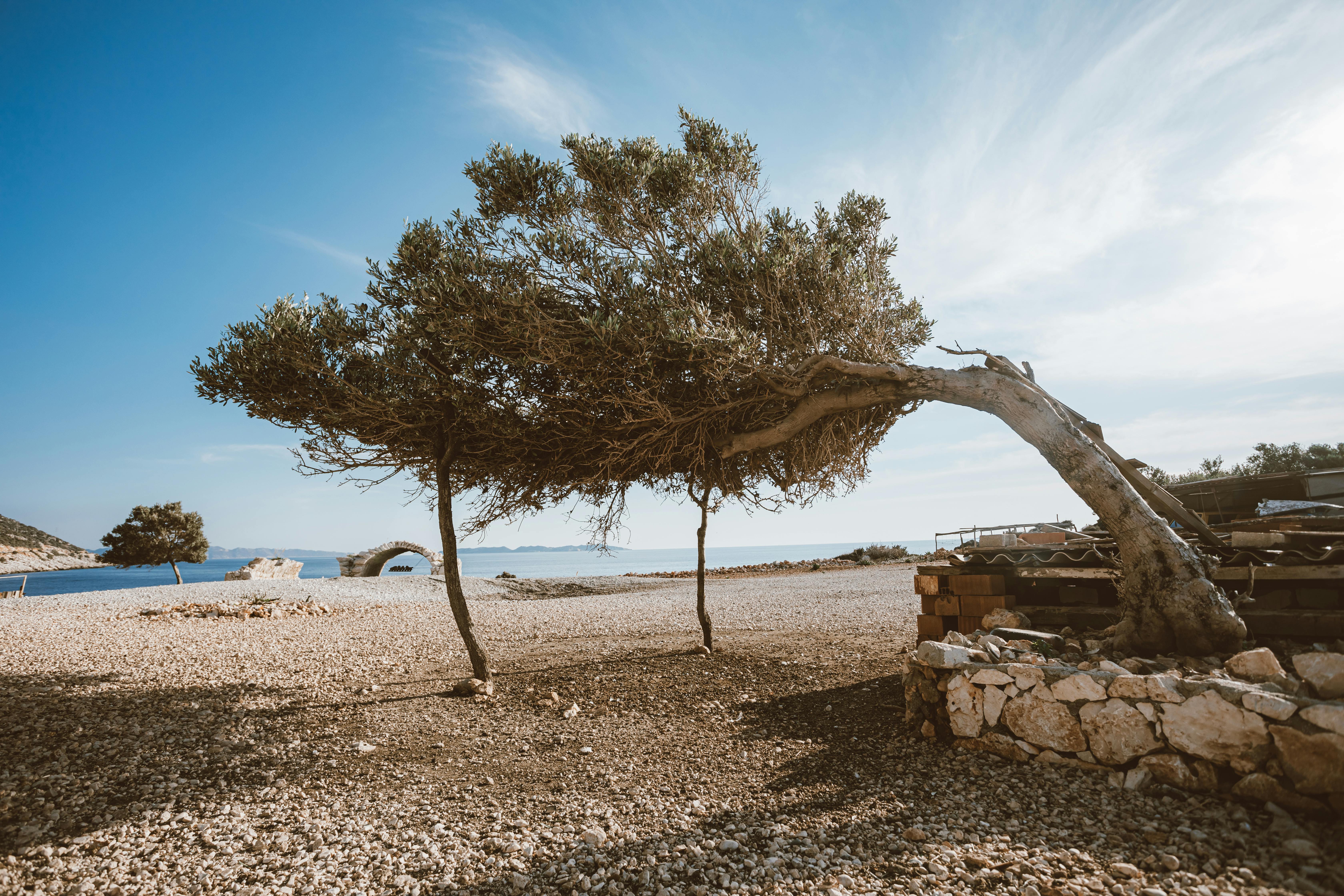 Bent Tree Homes - bent tree homes for sale