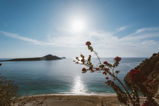 Capture of a tranquil Mediterranean beach with vibrant red flowers and a serene seascape.