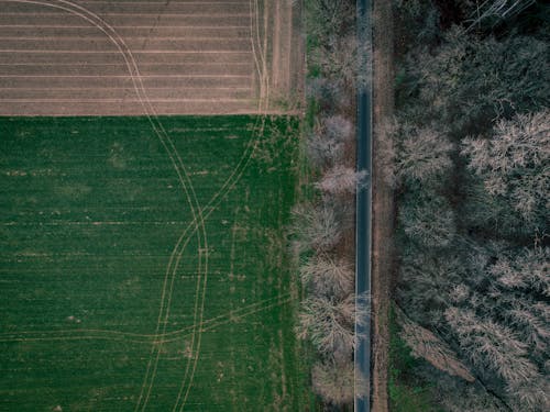 ağaçlar, drone çekimi, ekili arazi içeren Ücretsiz stok fotoğraf