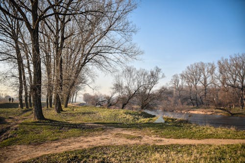 Fotobanka s bezplatnými fotkami na tému breh rieky, cestička, dedinský