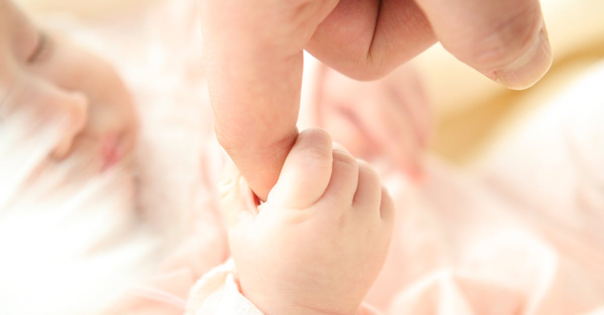 Million Dollar Baby Plan