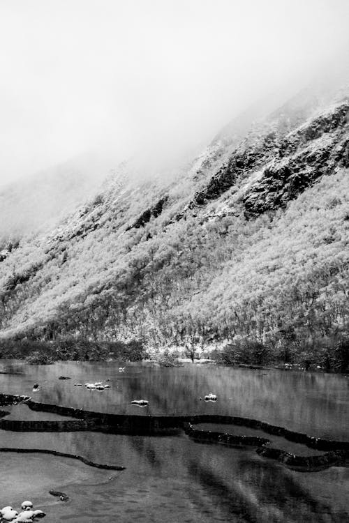 树木和山脉之间的河的灰度照片