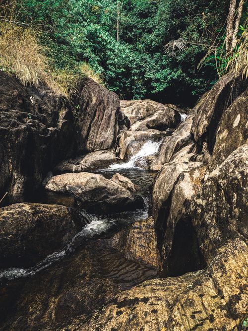 Free A serene stream cascading over rocks amidst a lush, green forest landscape in daylight. Stock Photo