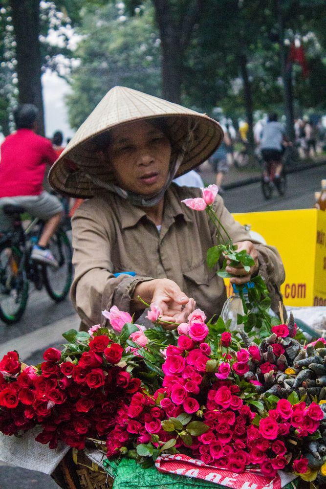 Selling Roses Photos, Download The BEST Free Selling Roses Stock Photos ...