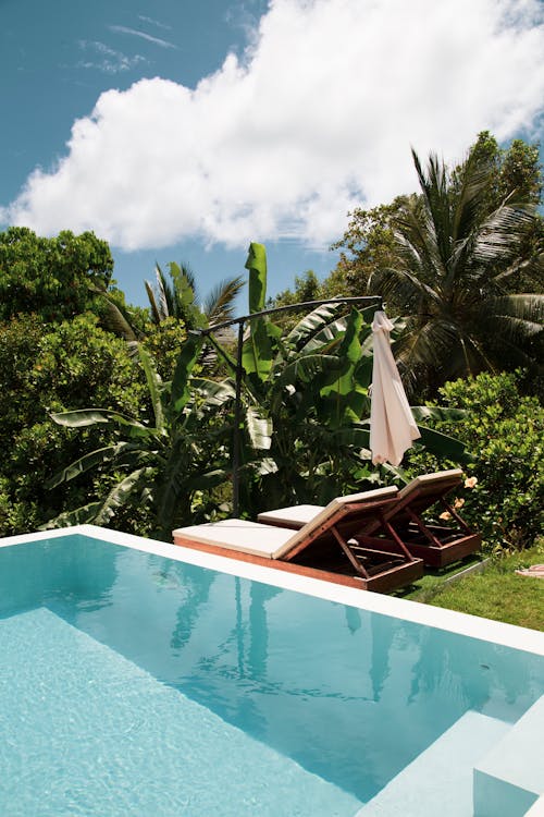 Swimming pool and Sunbeds in Tropical Resort