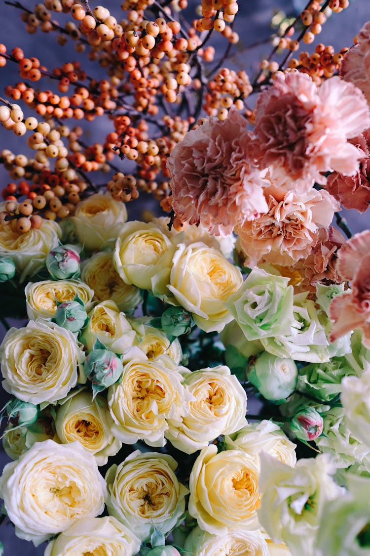 A Cluster Of White Roses