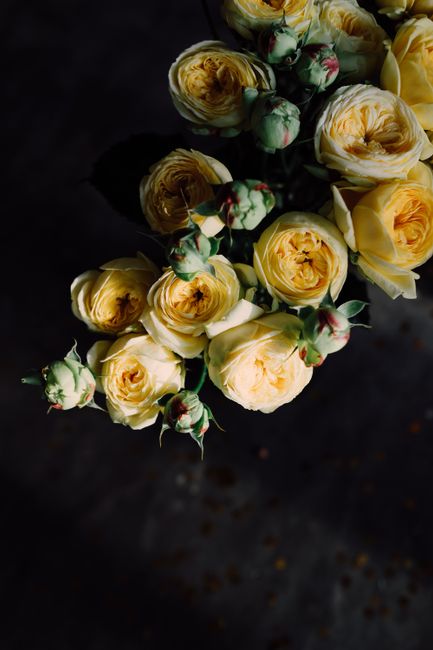 Close-up of a bouquet of vibrant yellow roses with fresh petals against a dark backdrop.