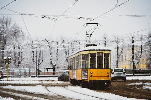 Kostenloses Stock Foto zu autos, eisig, fahrzeuge