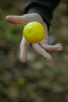 A fresh lemon being playfully tossed by a hand in an outdoor setting.