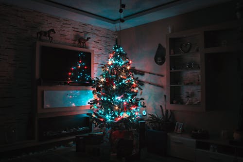 クリスマスツリー, ライト, ルームの無料の写真素材