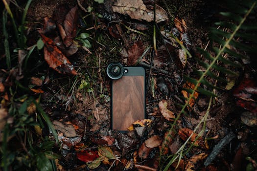 A smartphone with a lens attachment lies among colorful autumn leaves on the forest floor.