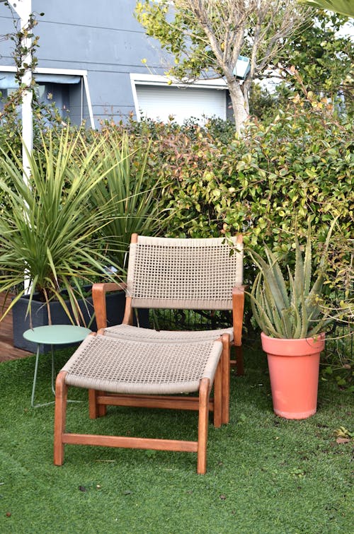 Sun lounger placed in garden with lush exotic plants