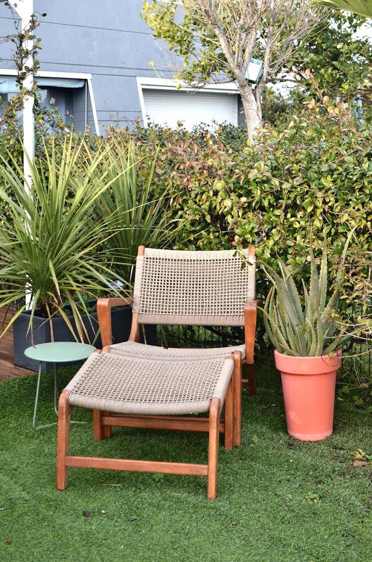 Sun Lounger Placed In Garden With Lush Exotic Plants