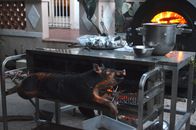 Whole smoked pig on broach near metal table with various utensils in yard of countryside house
