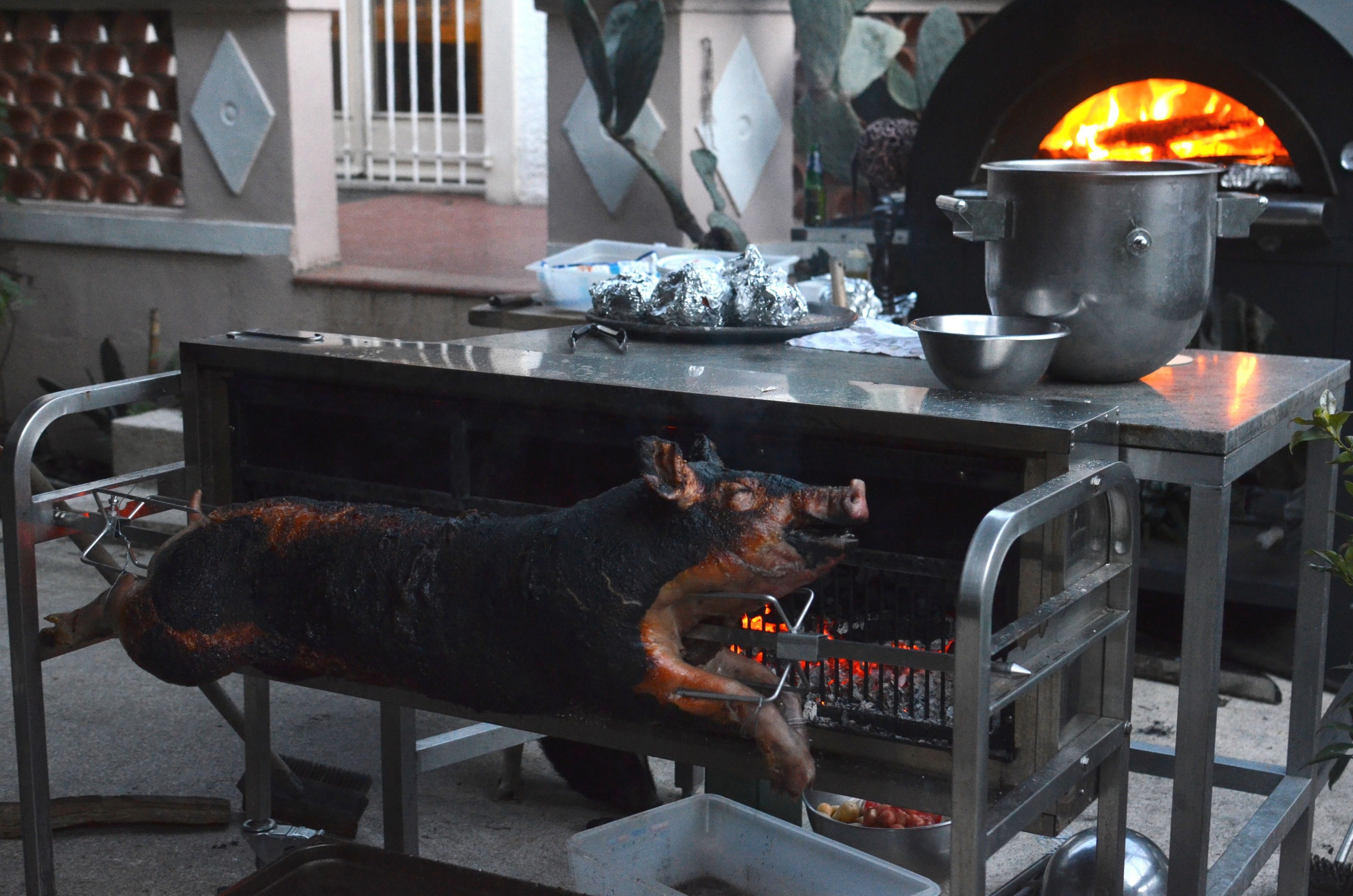 Coimbra roasted suckling pig