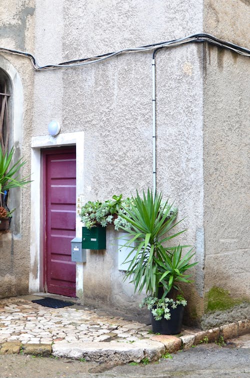 Free Details of exterior of aged stone residential house with wooden door and potted plants placed on porch Stock Photo