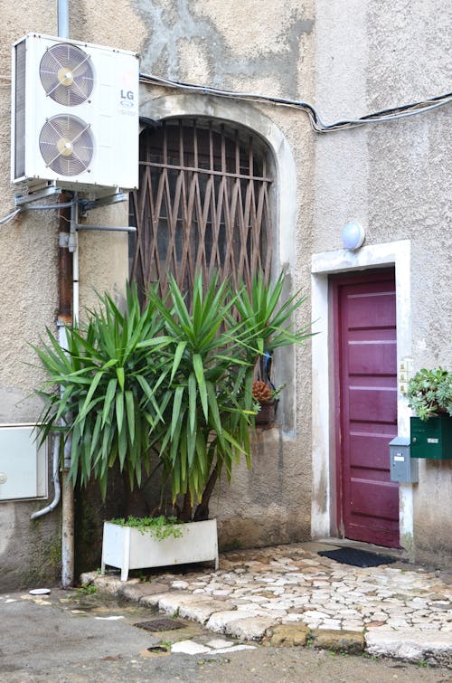 Facade of aged residential building decorated with green potted plants