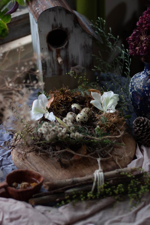 Flowers around Eggs in Nest