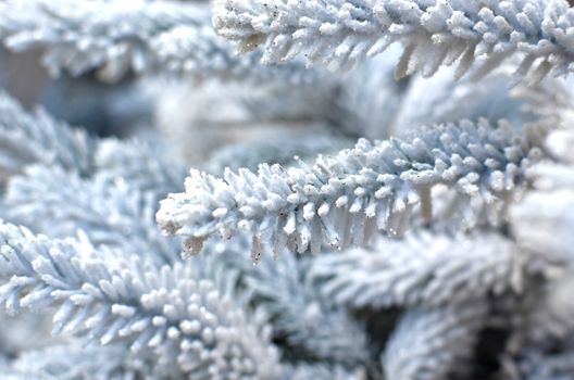White Christmas tree with glitter during festive event