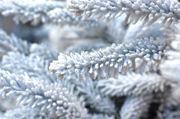 White Christmas Tree With Glitter During Festive Event