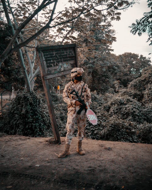 Foto profissional grátis de arma, árvores, de pé