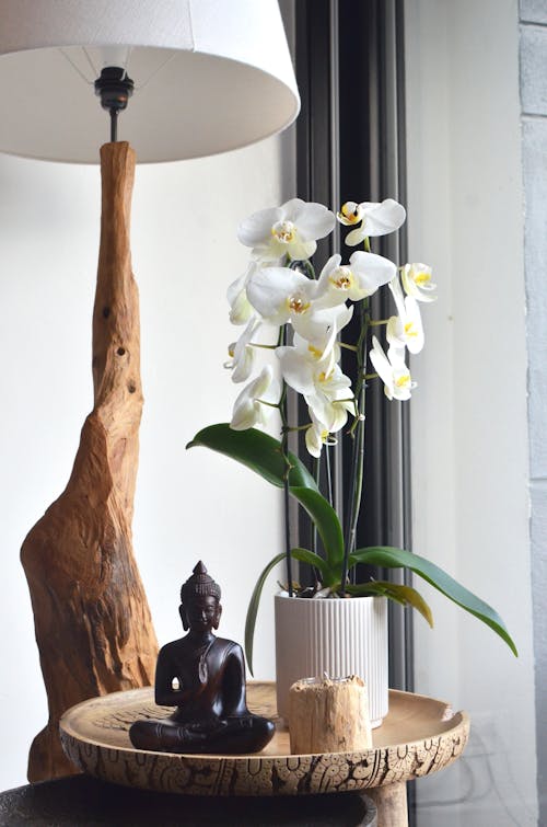 茶色の木製テーブルランプの横にある花瓶の白いコチョウラン