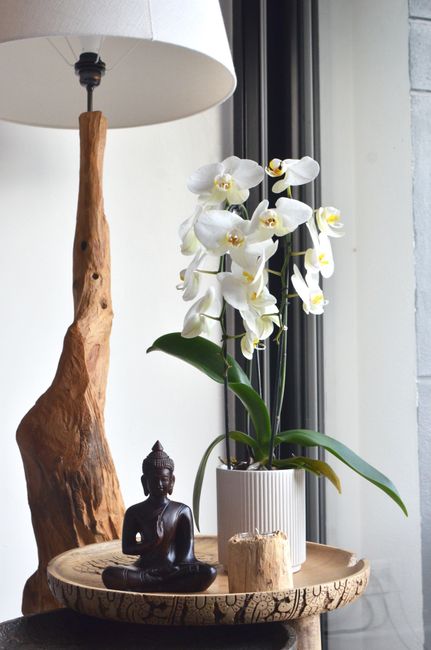 A tranquil scene featuring a Buddha figurine, orchids, and a lamp on a coffee table.