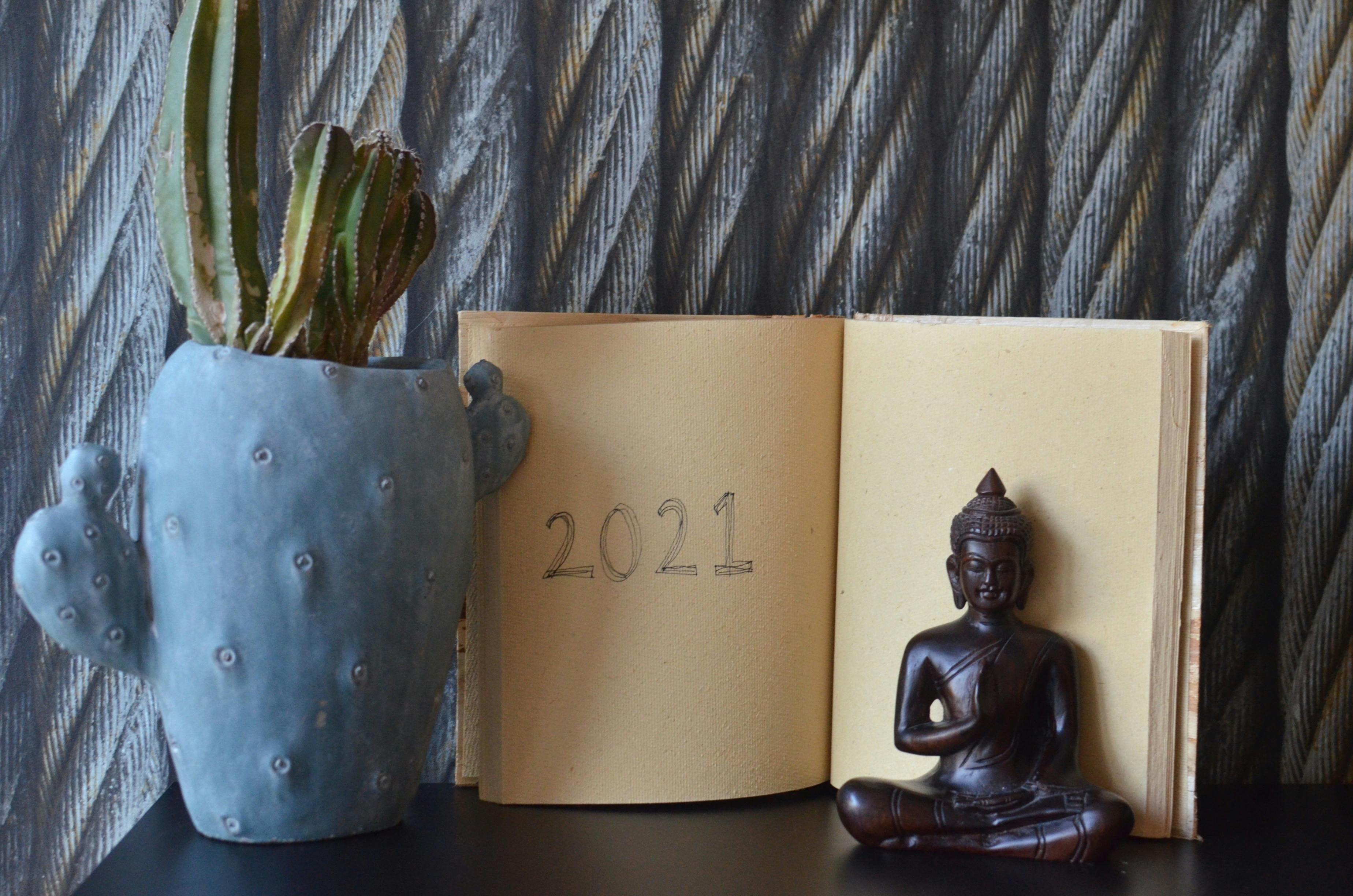 cacti in a pot buddha figurine and an open notebook with