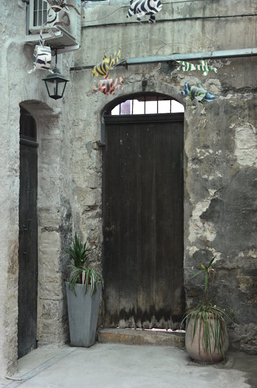 무료 회색 콘크리트 벽에 갈색 나무로되는 문 스톡 사진