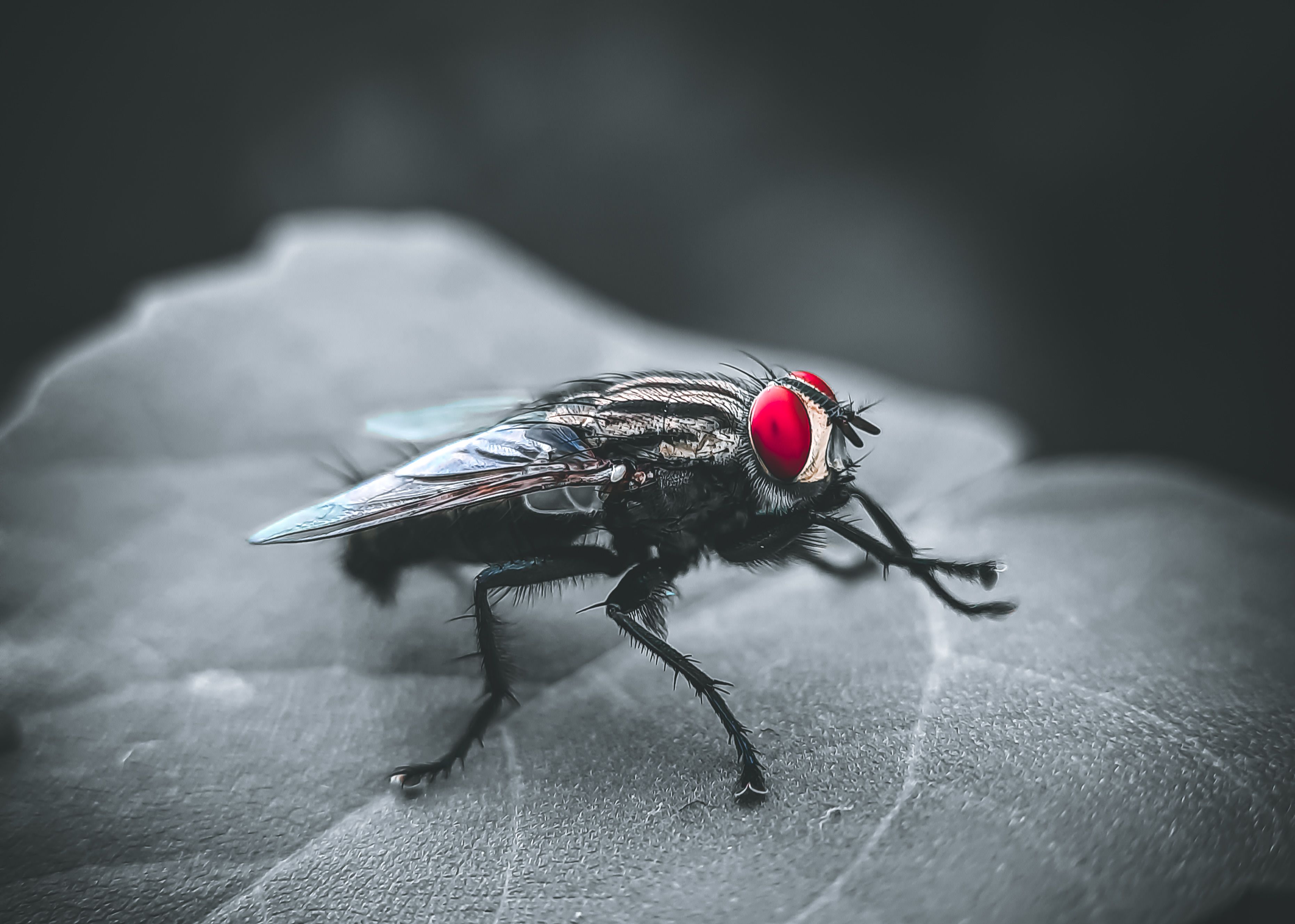 Learn Sql In A Weekend - Fly