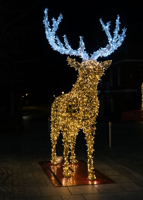 Free A bright, illuminated reindeer sculpture with festive lights against a dark night backdrop. Stock Photo