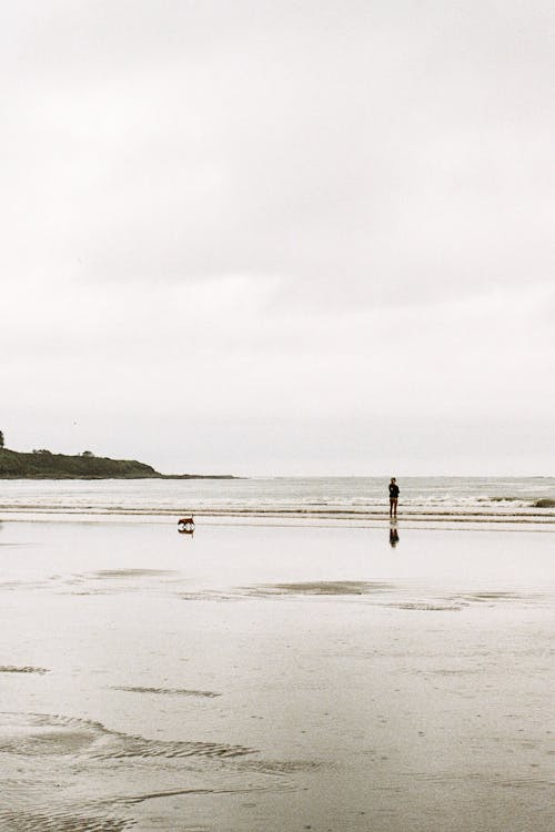 Fotos de stock gratuitas de al lado del océano, de pie, junto a la playa