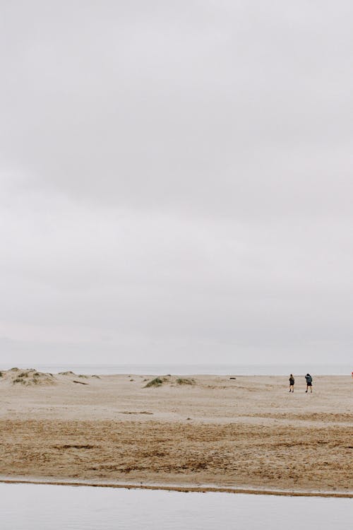 Fotos de stock gratuitas de al lado del océano, de pie, junto a la playa