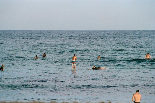 假期, 地平線, 夏天 的 免費圖庫相片