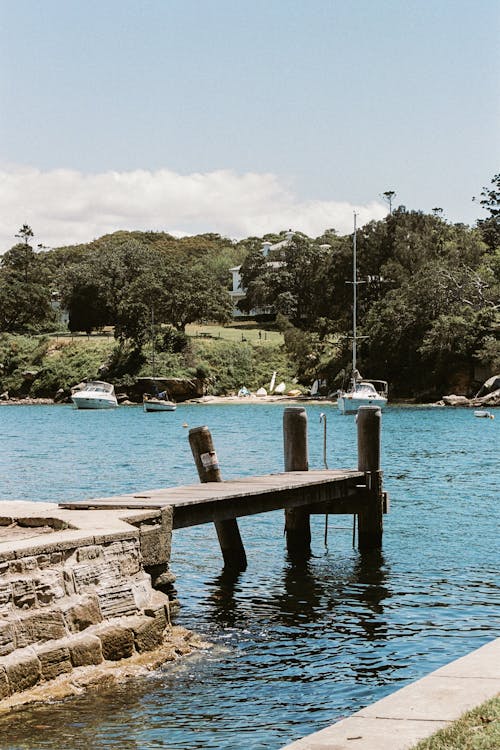 無料 木製ドック, 桟橋, 湖の無料の写真素材 写真素材