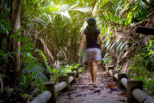 Free Back view of a woman walking on a lush jungle path, surrounded by vibrant greenery. Stock Photo