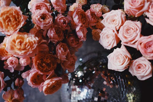 婚禮, 插花, 玫瑰 的 免费素材图片