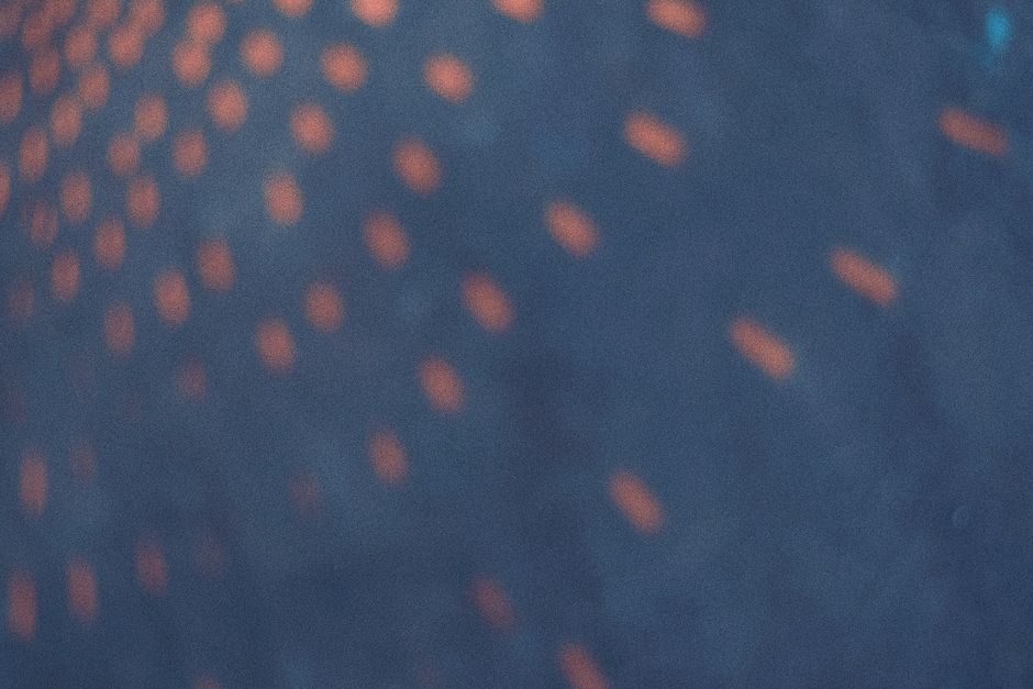 Blurred abstract pattern featuring vibrant orange dots on a cool dark background.