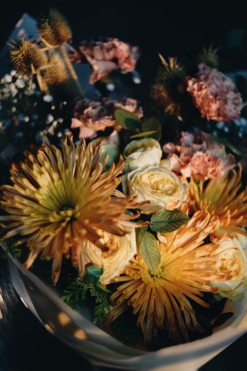 Free A vibrant bouquet of chrysanthemums and roses captured with soft lighting and artistic composition. Stock Photo