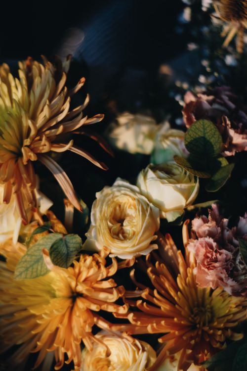 Free A close-up shot of a vibrant floral arrangement featuring chrysanthemums and roses with dramatic lighting. Stock Photo
