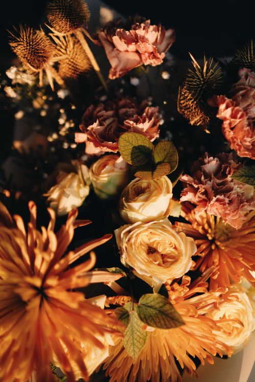 Free A beautifully detailed arrangement of roses and chrysanthemums in warm autumn tones, capturing the essence of fall. Stock Photo
