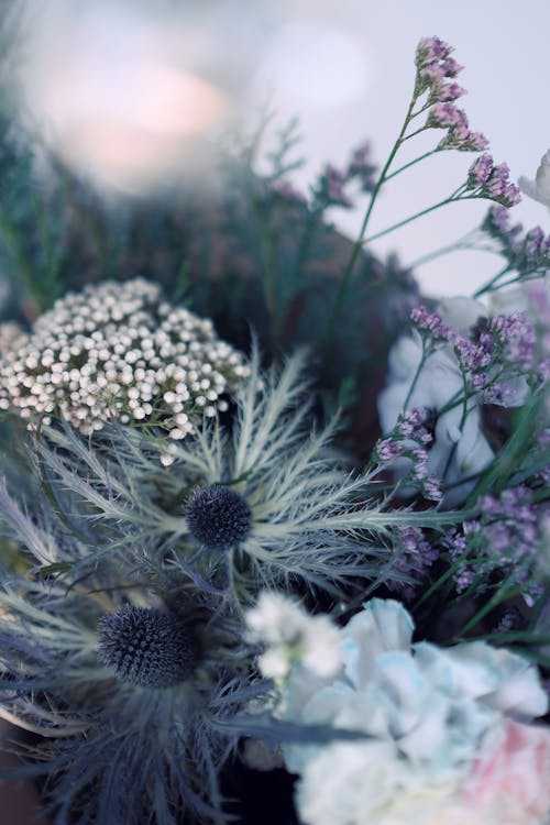 Close-Up Shot of Purple and White Flowers