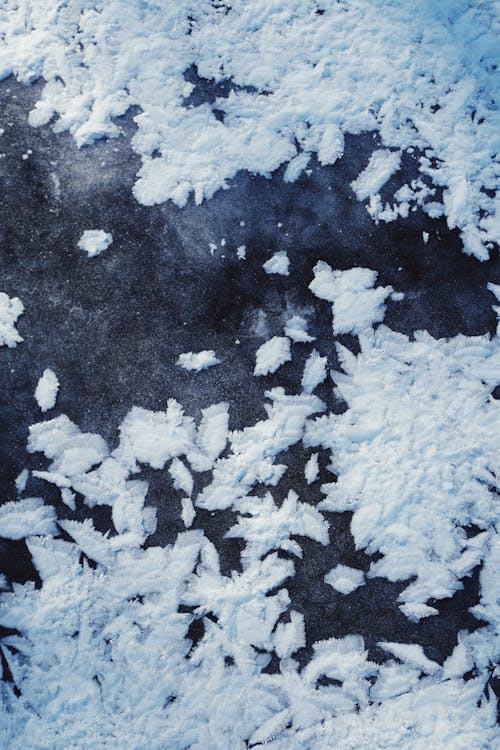 Free Close-up Picture of Frost  Stock Photo