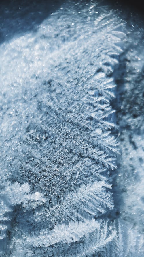 무료 감기, 겨울, 관념적인의 무료 스톡 사진